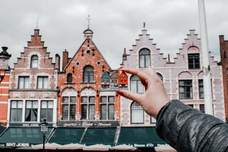Hoe helpt de overheid bij het behalen van internationale successen in belgië?